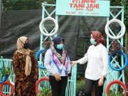 Kelompok Tani Jahe di Lengkong Karya Mendapat Apresiasi dari Walikota Tangsel